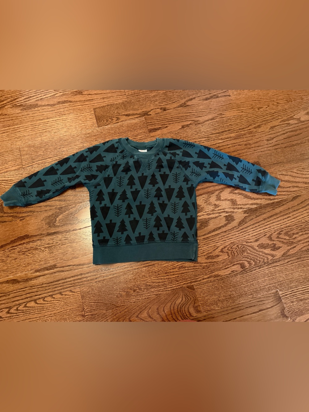 Hanna Andersson Green Sweatshirt with Black Tree Print 4T unisex